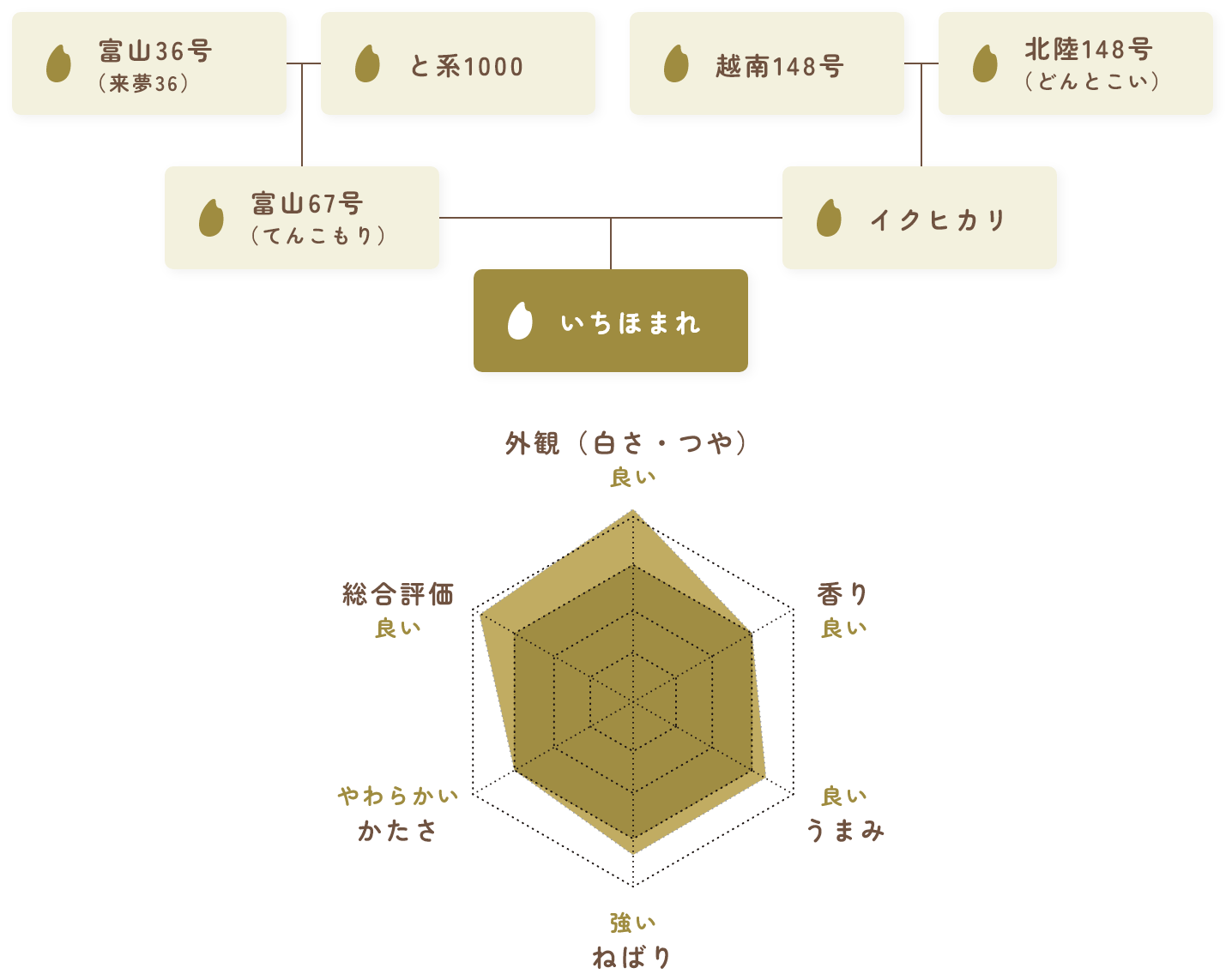 いちほまれの評価表