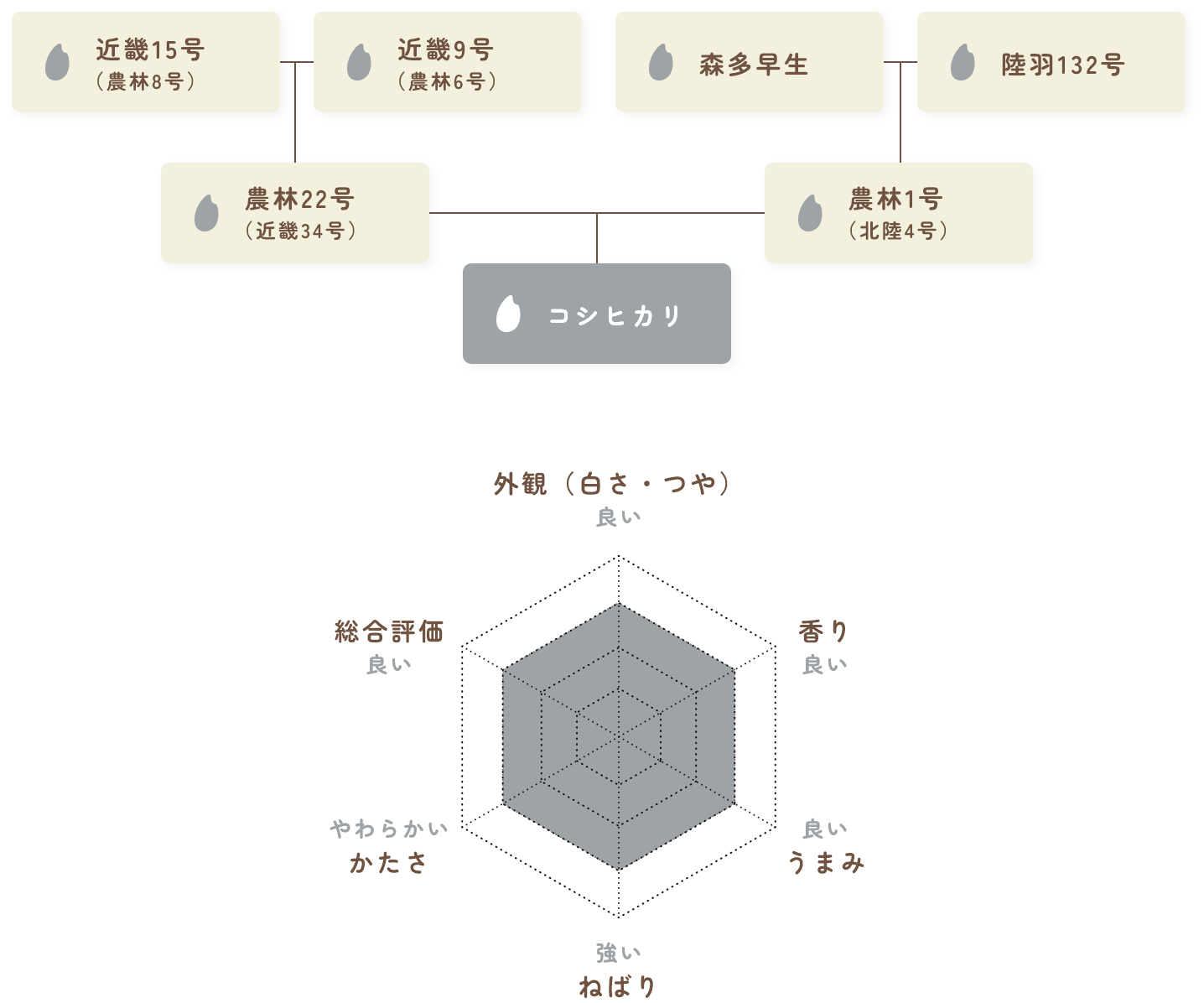 コシヒカリの評価表
