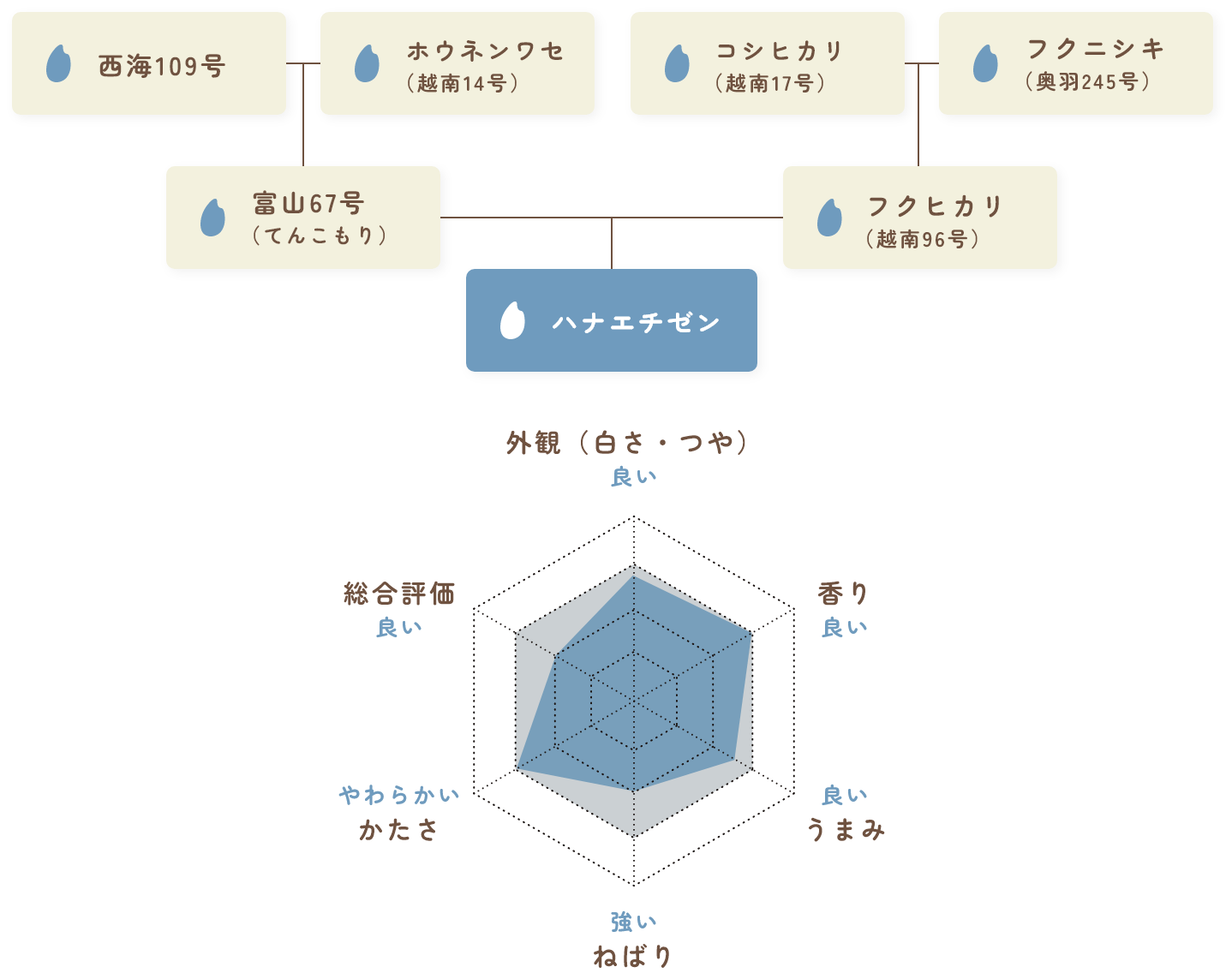 ハナエチゼンの評価表