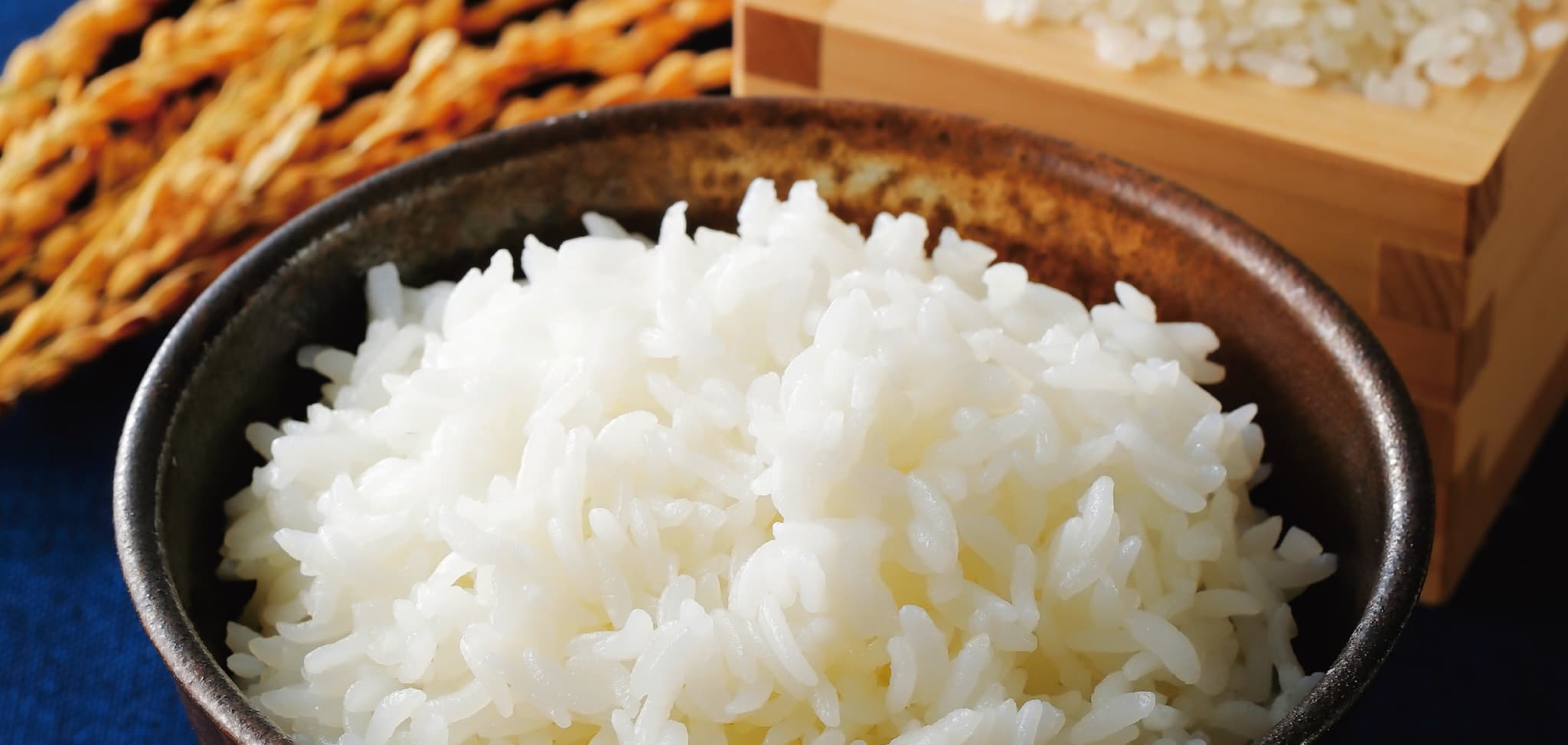 福井パールライス